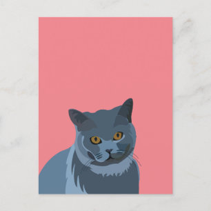 Blue Grey Cat Lover Postcard