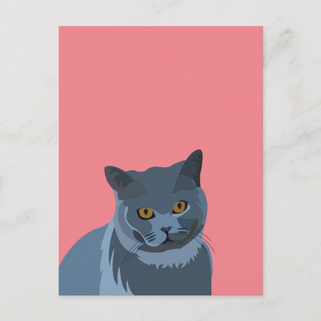 Blue Grey Cat Lover Postcard (Front)