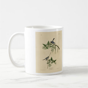 Blue-Grey Fly-catcher - Audubon's Birds of America Coffee Mug