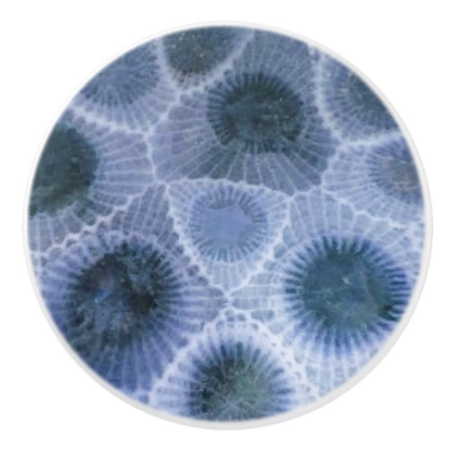 Blue Grey Petoskey Stone Ceramic Knob (Front)