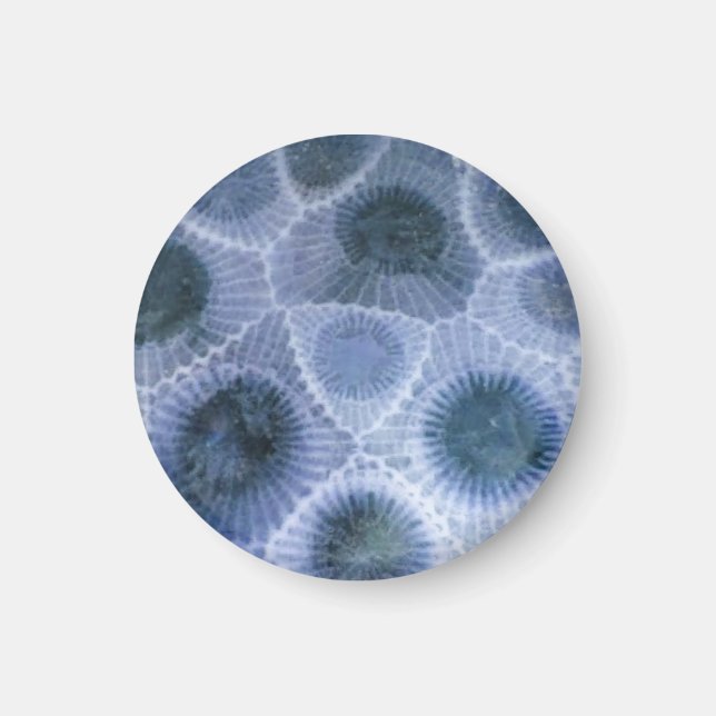 Blue Grey Petoskey Stone Magnet (Front)