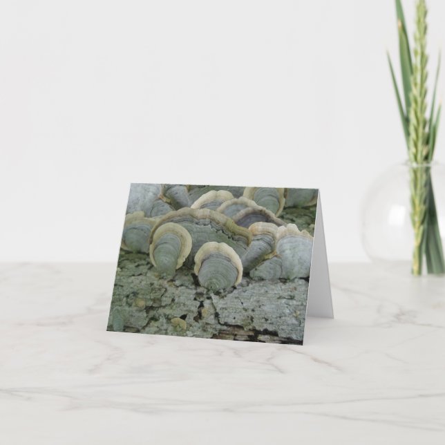 Blue Grey Shelf Fungus Note Card (Front)
