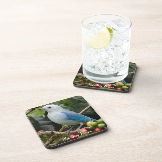 Blue-Grey Tanager Coaster (Right Side)