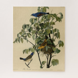 Blue Grosbeak from Audubon's Birds of America  Jigsaw Puzzle