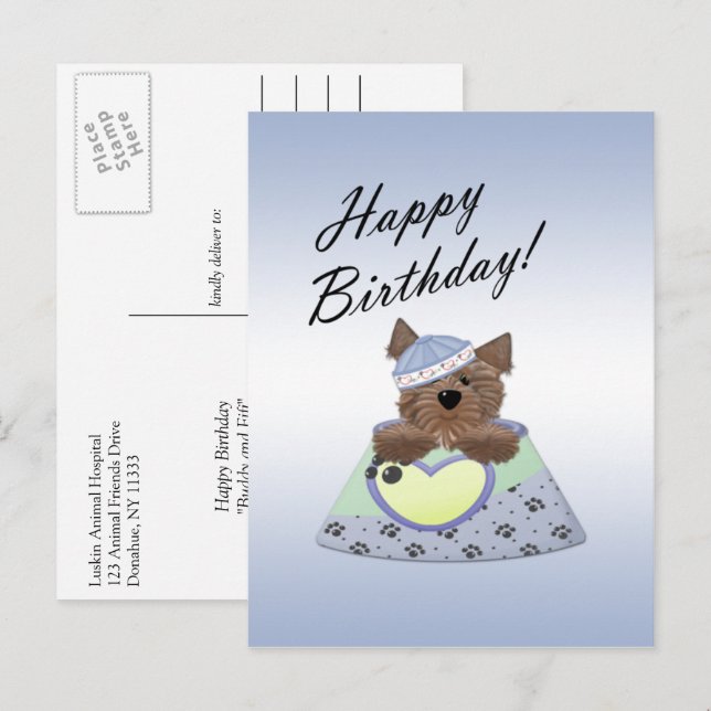 Blue Happy Birthday Boy Dog Postcard (Front/Back)
