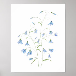 blue harebell flowers 2021 watercolor poster