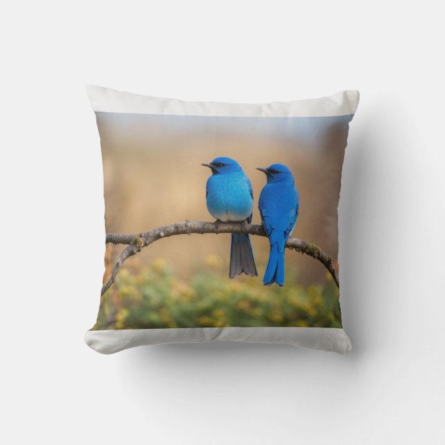 Blue Harmony – A Moment of Joy Cushion (Front)