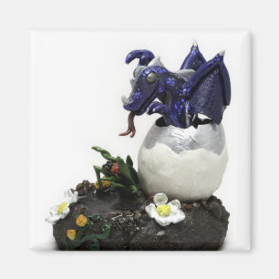 Blue hatching dragon magnet