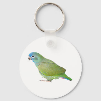 Blue Head Pionus Parrot Key Ring