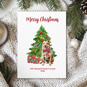 Blue Heeler Christmas Card