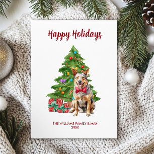 Blue Heeler Dog Family Christmas Holiday Card