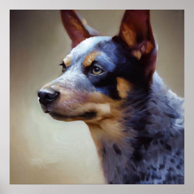 Blue Heeler Dog  Poster (Front)