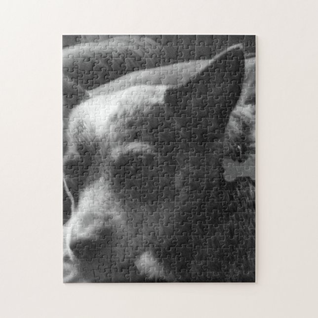 Blue heeler jigsaw puzzle (Vertical)