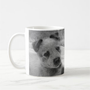 BLUE HEELER MUG