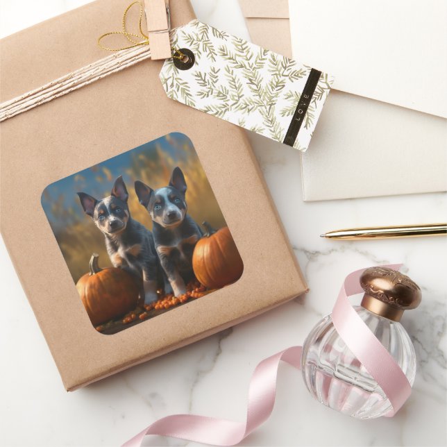 Blue Heeler Puppy Autumn Delight Pumpkin Square Sticker (Gifting)