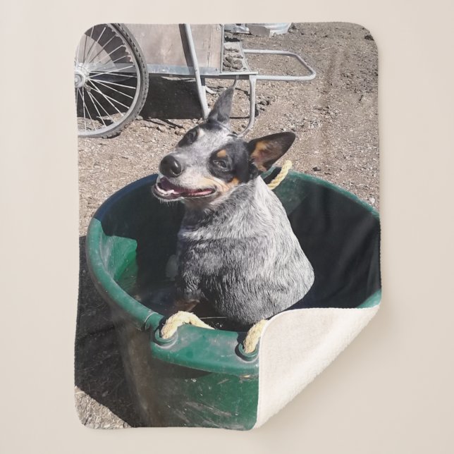 Blue Heeler Sherpa Blanket (Front)