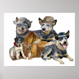 blue heeler western design poster