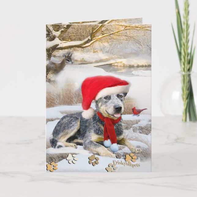 Blue Heeler winter Scene cards (Front)