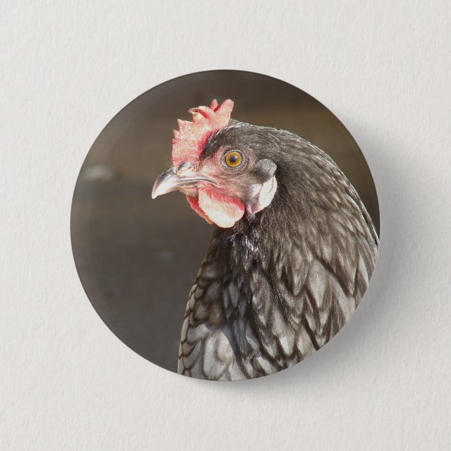 Blue Hen 6 Cm Round Badge (Front)