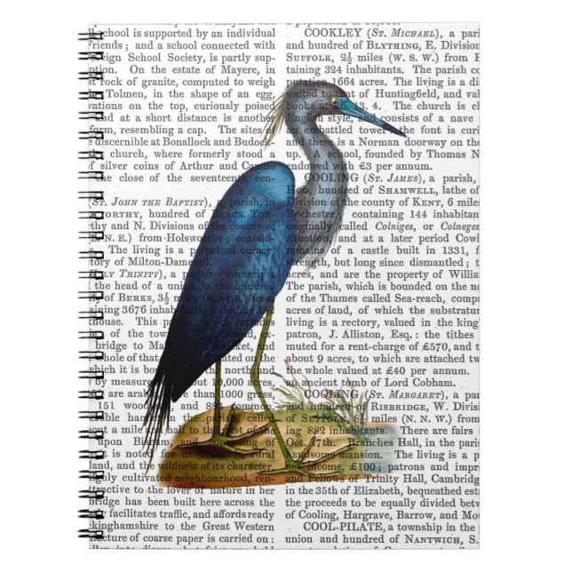 Blue Heron 3 2 Notebook (Front)