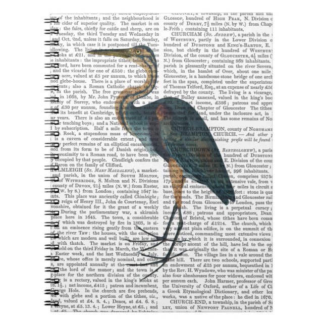 Blue Heron 3 Spiral Notebook (Front)