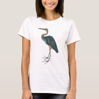 Blue Heron 3