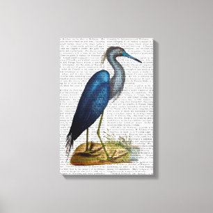 Blue Heron Canvas Print