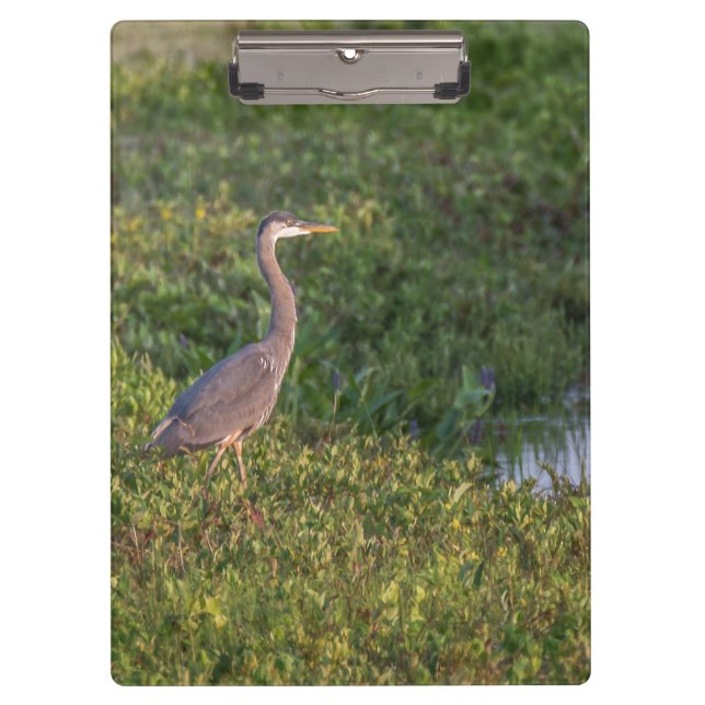 Blue Heron Clipboard (Front)