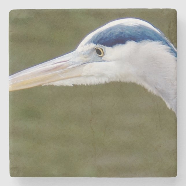 Blue Heron detail Stone Coaster (Front)