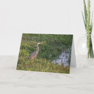 Blue Heron Greeting Card