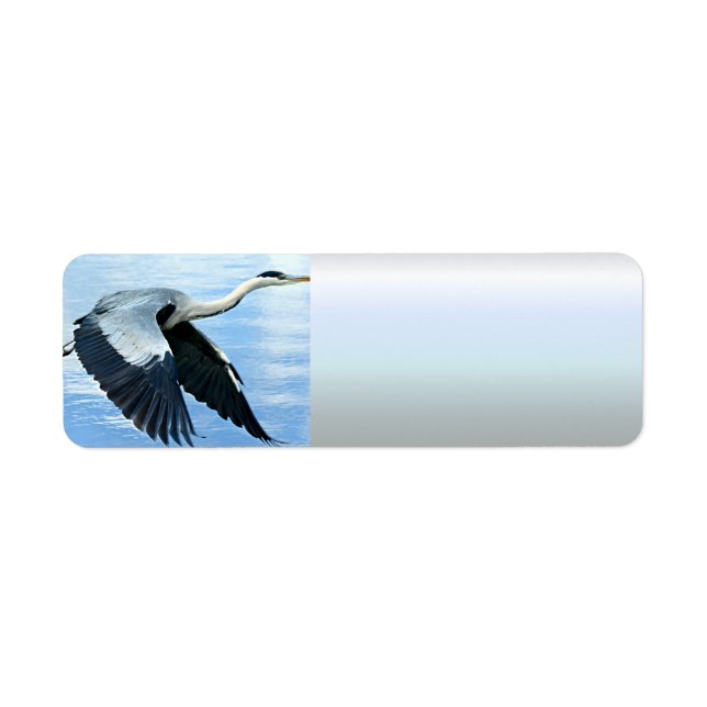Blue Heron in Flight Over Water (Front)