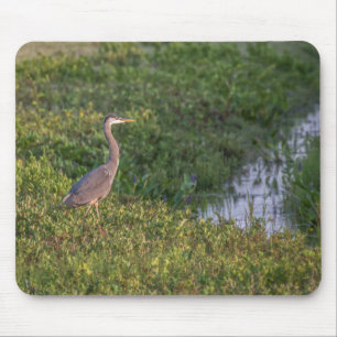 Blue Heron Mouse Pad