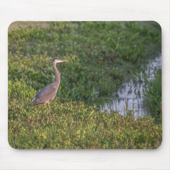 Blue Heron Mouse Pad (Front)