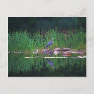 Blue Heron Reflections Animal Painting Postcard