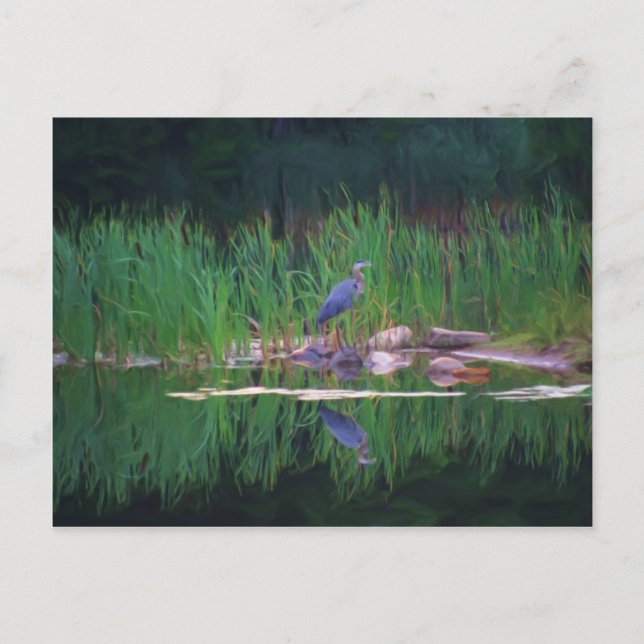 Blue Heron Reflections Animal Painting Postcard (Front)