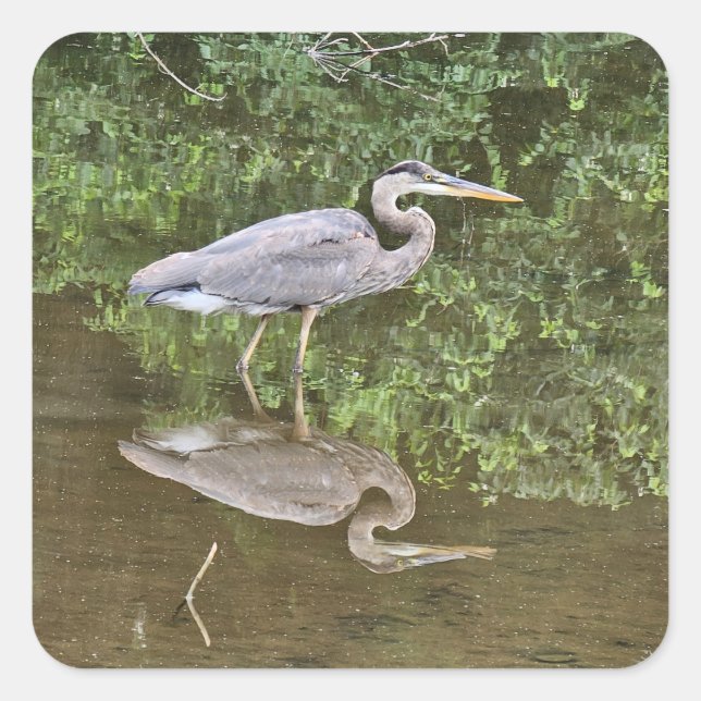 Blue heron square sticker (Front)