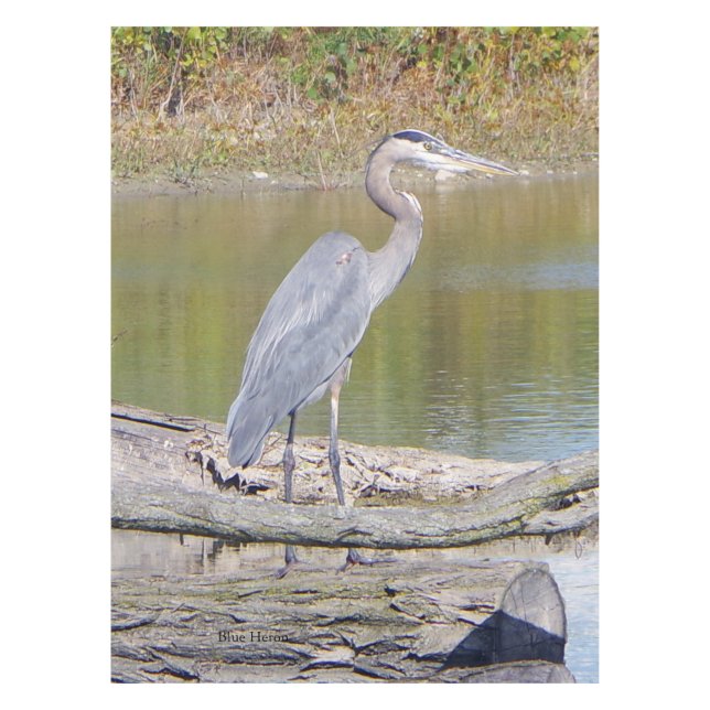 Blue Heron table cloth (Front)