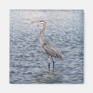 Blue Heron water magnet