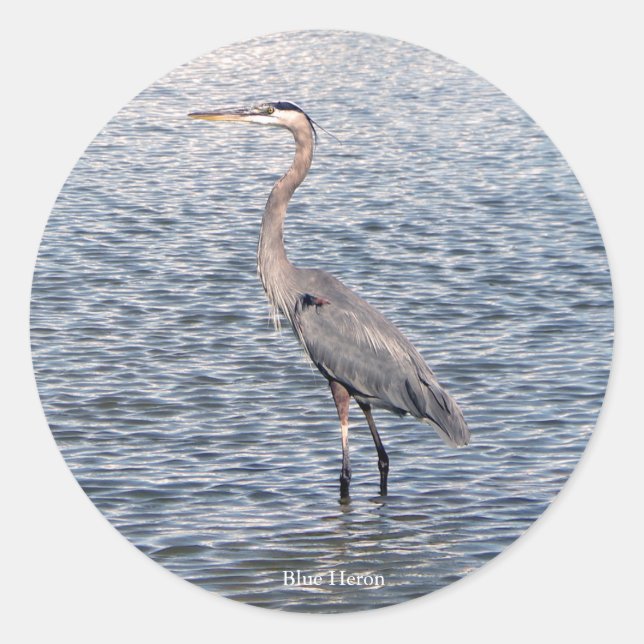 Blue Heron water sticker (Front)