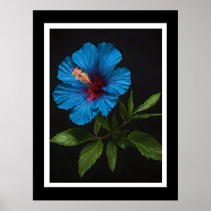 Blue Hibiscus Flower On Black, Poster