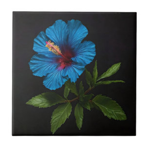 Blue Hibiscus Flower On Black, Tile