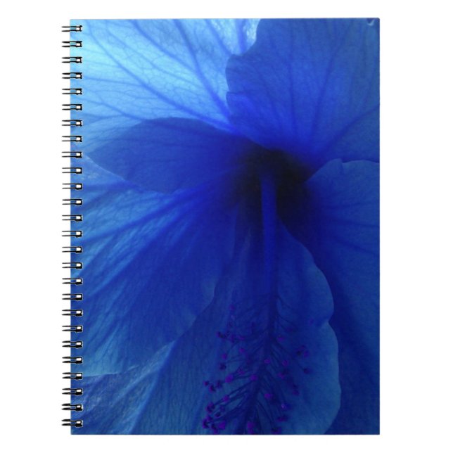 Blue Hibiscus Flower Spiral Notebook (Front)