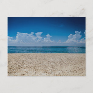 Blue Horizon Sandy Seashore Postcard