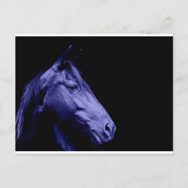 Blue Horse Design Postcard (Front)