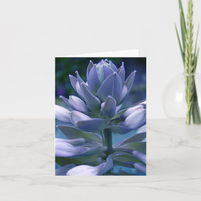Blue Hosta "photographic" everyday card (Front)