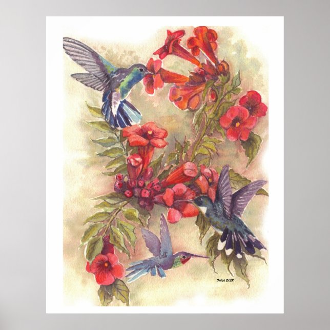 BLUE HUMMING BIRDS WITH ORANGE TRUMPET VINES POSTER (Front)