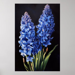 Blue Hyacinth Flower Art Print Poster