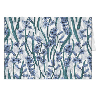Blue Hyacinth flowers on white