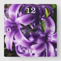 Blue Hyacinth I Spring Floral