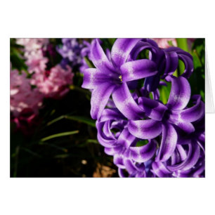 Blue Hyacinth II Spring Floral